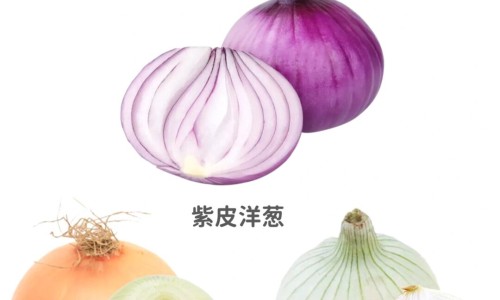 咸柠檬的功效和作用专区_鲜柠檬泡茶的功效专区_咸柠檬泡水的功效网