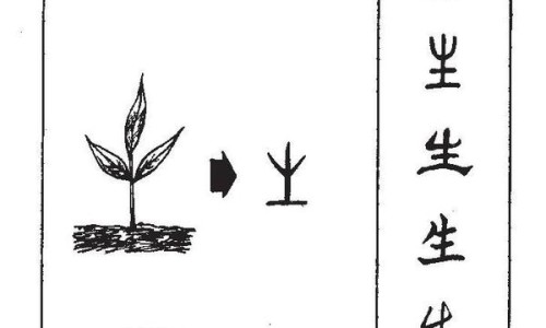 咸柠檬泡水的功效与作用禁忌-咸柠檬的功效和作用专区_鲜柠檬泡茶的功效专区_咸柠檬泡水的功效网